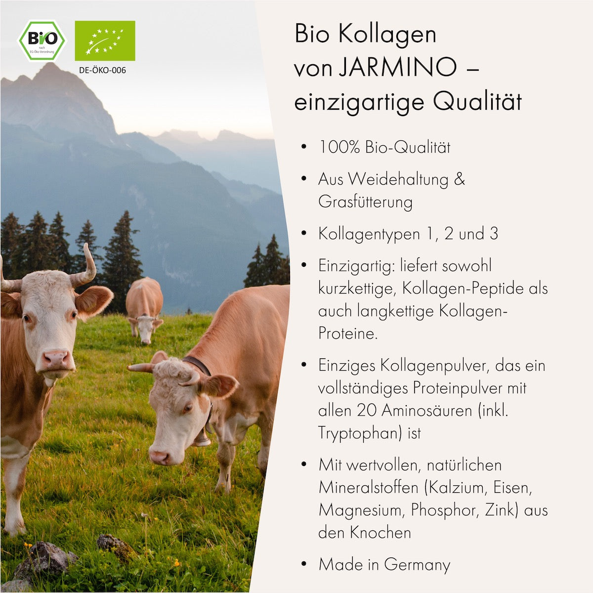 Knochenbrühe Pulver (300g)