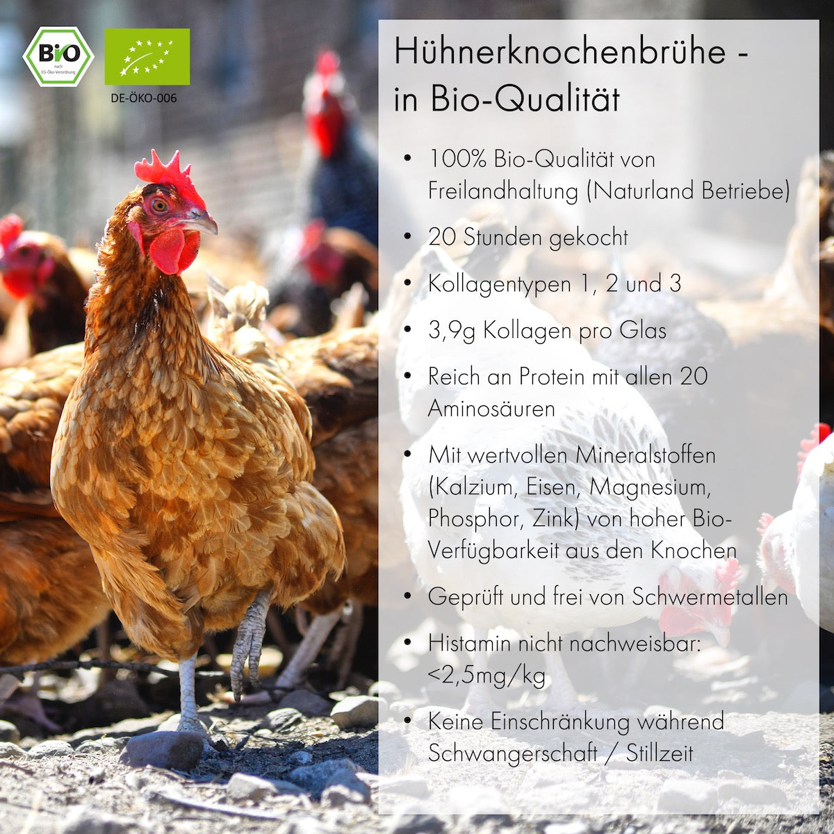 Probierpaket Knochenbrühe (3x 350ml)